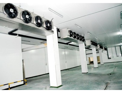 湖北孝感生豬屠宰場(chǎng)大型低溫冷庫工程建造案例