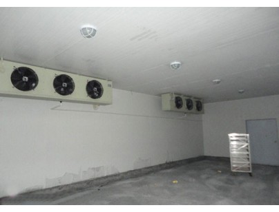 湖北孝感生豬屠宰場(chǎng)大型低溫冷庫工程建造案例