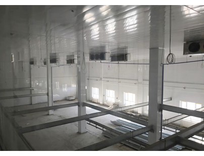 湖北孝感生豬屠宰場(chǎng)大型低溫冷庫工程建造案例