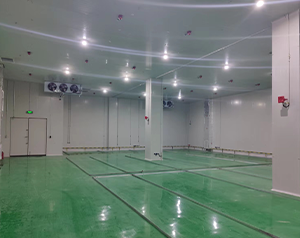溫州防爆冷庫(kù)建造費(fèi)用多少錢(qián)？