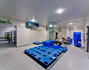 血制品公司建造80立方-25~-30℃血漿冷庫的方案報價？