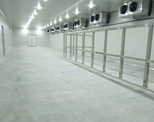 水產(chǎn)品市場建造3000噸水產(chǎn)冷凍庫的方案以及報價？
