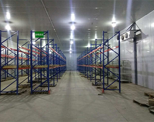 生物公司建造200平2-8℃醫(yī)藥冷庫建造費用？