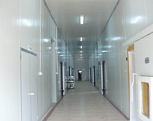 建造一般的低溫倉(cāng)庫(kù)造價(jià)費(fèi)用需要多少錢？