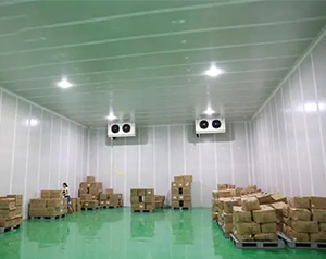 建設(shè)冷鏈物流倉儲冷藏庫影響價格的因素有哪些？