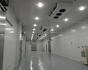醫(yī)藥冷庫建造這些您了解嗎？藥品冷庫建設(shè)多少錢