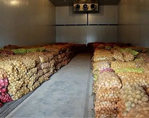 建造存放5000噸冷庫工程造價(jià)多少錢，板栗溫度要求多少