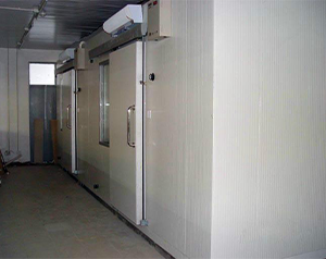 榴蓮冷凍庫、榴蓮冷庫貯藏技術(shù)、榴蓮速凍庫建造成本多少