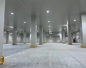 你知道未來哪種冷庫(kù)更有市場(chǎng)潛力，有“錢”景？