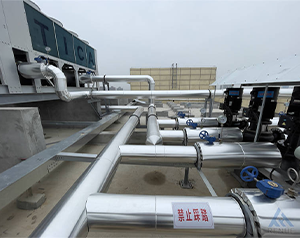 1000噸氣調(diào)庫造價大概需要多少錢？
