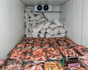 舌尖上的漁業(yè)制冷-海鮮、魚類冷庫