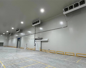 建個(gè)小型冷藏庫多少錢?冷藏庫建設(shè)造價(jià)？