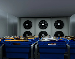 亂世之秋 生鮮電商如何突圍？