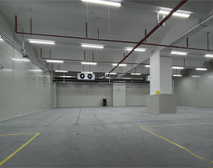 氣調(diào)冷庫建成后如何正確儲存果蔬？