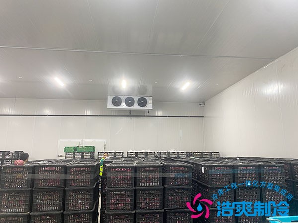 100立方冷凍庫(kù)造價(jià)預(yù)算需要多少錢？
