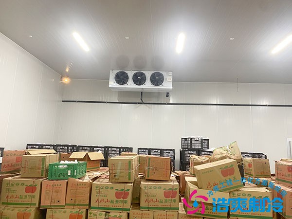 凍庫(kù)造價(jià)多少錢一平方