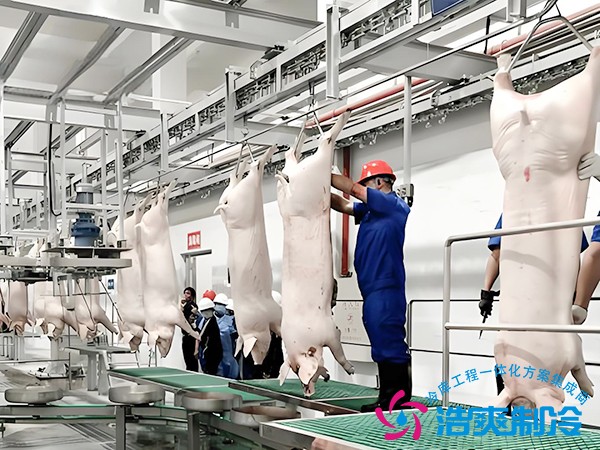凍肉冷庫(kù)建設(shè)多少錢一平方