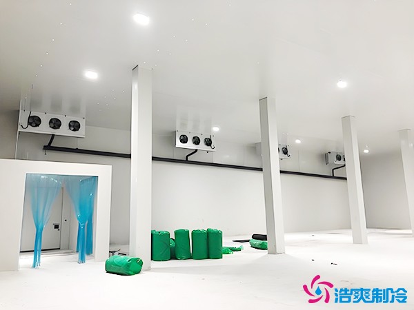 建造萬(wàn)噸級(jí)大型冷庫(kù)造價(jià)大概多少錢？萬(wàn)噸冷庫(kù)造價(jià)影響因素