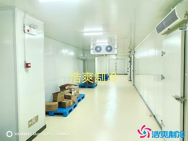 儲存疫苗的企業(yè)獨立冷庫有幾個？生物疫苗冷庫造價