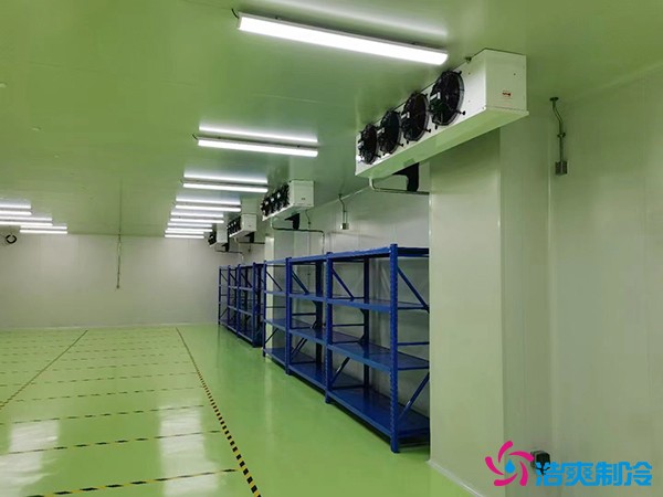 儲存疫苗的企業(yè)獨立冷庫有幾個？生物疫苗冷庫造價