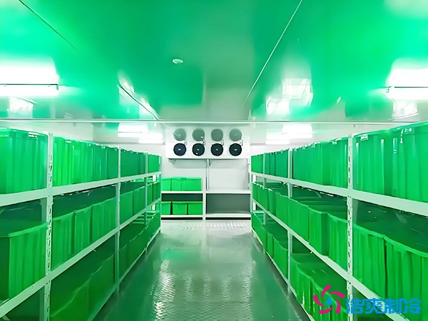 藥品批發(fā)企業(yè)冷藏庫平方面積要求多少？1000平藥企冷庫造價
