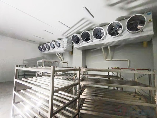 建造1000立方冷凍庫(kù)配多大壓縮機(jī)？造價(jià)預(yù)算多少錢？