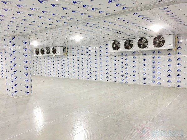 建一個(gè)冷凍庫造價(jià)需要多少錢一平方？