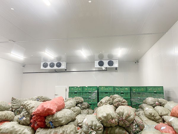 影響蔬菜保鮮冷庫建造價格的因素有哪些？