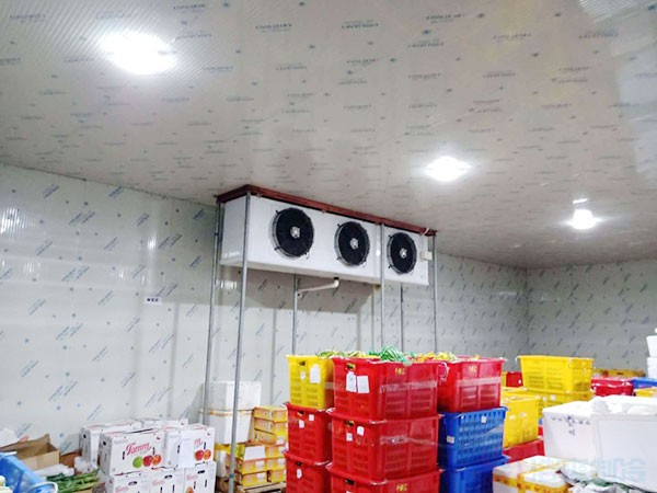 香蕉冷庫建造價格預(yù)算